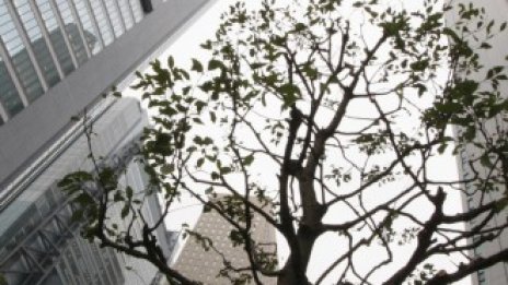 Европейските имоти стават все по-привлекателни за японските фондове