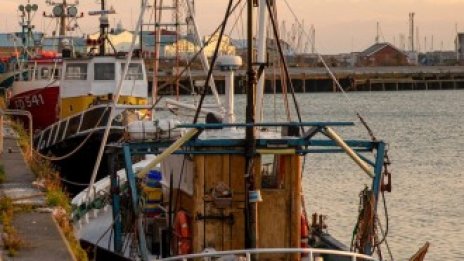Brexit може да е твърде закъснял, за да спаси британските рибари
