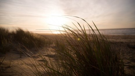 Дигата на плажа в Созопол ще бъде съборена