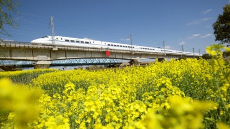 Японски железопътен проект за 83 млрд. долара е изложен на риск заради екологичен спор