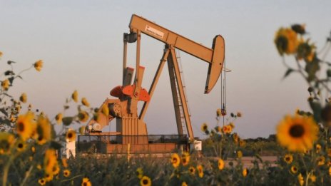 Morgan Stanley: Петролът може да поевтинее и до 20 долара за барел