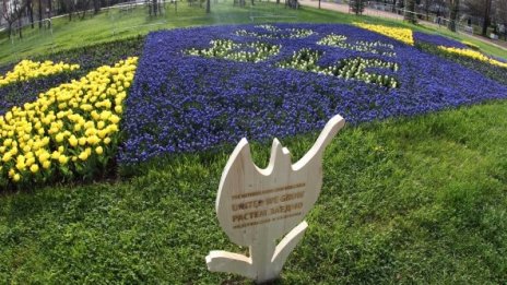 Тренд: 60% от българите подкрепят интеграцията на Западните Балкани в ЕС