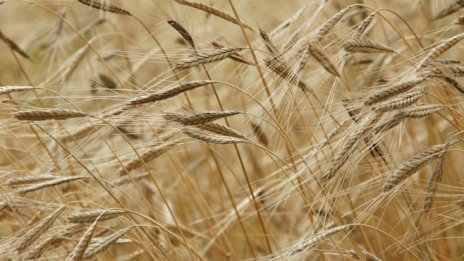 &bdquo;Адванс Терафонд&ldquo; е закупил земя на още по-висока цена през април