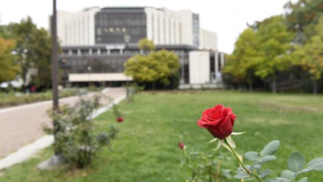 Кадър на деня за 17 октомври