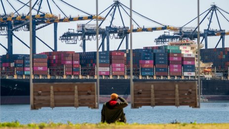 ОИСР очаква забавяне на световния растеж заради митата