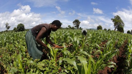 Официалната помощ за развитие от ЕС е достигнала рекордните 75,5 млрд. евро