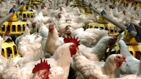 Пенсионните фондове на „Доверие“ са продали над 5% от капитала на "Градус"