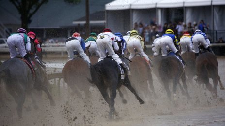 Еднорозите бяха на върха цяло десетилетие. Сега технологичният сектор има нужда от нещо ново