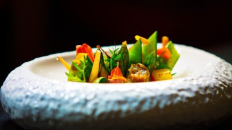 Събития за хотелиерите, продукти и кулинарно шоу на хорека изложението СИХРЕ