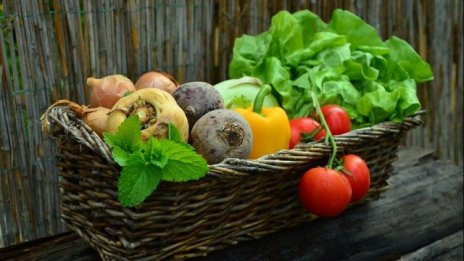 Нова онлайн платформа прави опит да свърже българските фермери с търговците