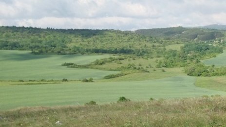 „Елана Агрокредит“ АД е изкупило обратно акции за 184,2 хил. лв.
