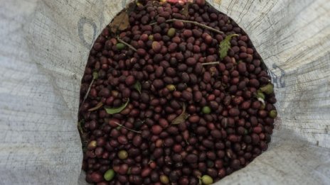 Инвестициите в кафе изискват силни нерви