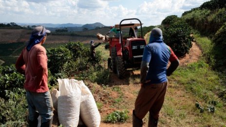 Кафето поевтиня с най-много от 2008 г., но рисковете за бразилския добив остават