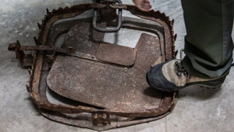 Колективният капан на социалните мрежи