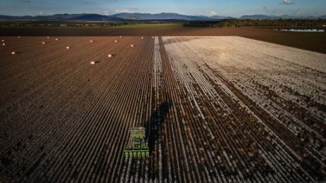 Земеделската земя в Добруджа поскъпна минимално с 0,5% през 2020 г.