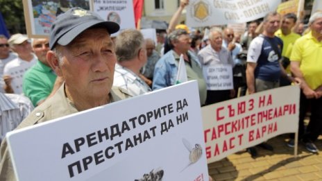 Пчелари протестираха заради законови ограничения за кошерите в населени места