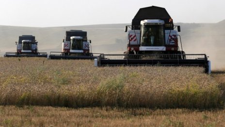 Русия може да увеличи износа на зърно до 60-70 млн. тона годишно