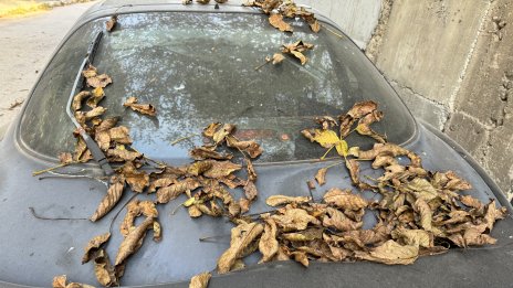 Над 2000 излезли от употреба коли вече не заемат паркоместа в кварталите на София