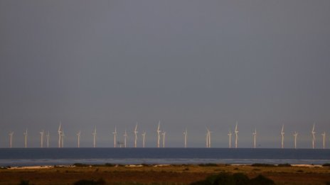 Европарламентът се обяви за по-бързо разгръщане на офшорната вятърна енергия