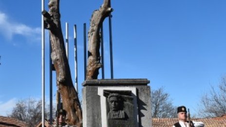Кадър на деня за 19 февруари