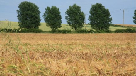 431 заявления за компенсиране на пропаднали площи са подадени през 2015 г.