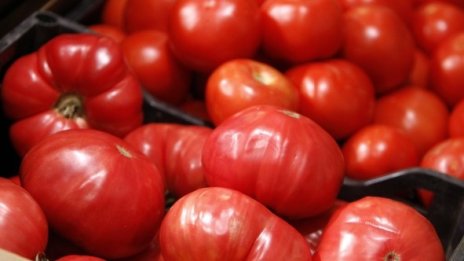 60% от доматите на българския пазар са вносни*