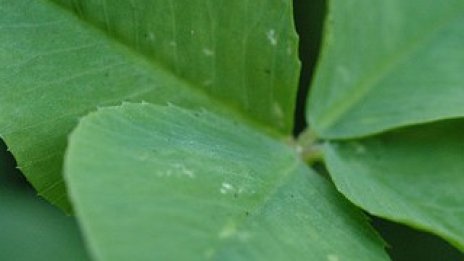 Нестандартни подаръци – понякога идеята е по-важна от цената