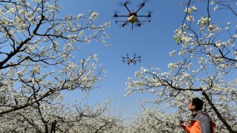 Китайска компания счупи рекорд с 1374 танцуващи в небето дронове