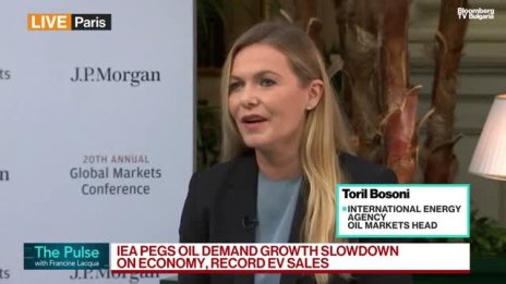 Босони очаква свръхпредлагане на петрола през тази и следващата година