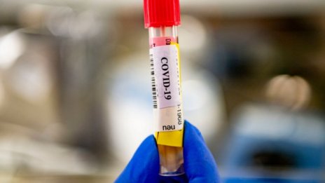 Български учени на крачка да открият молекулата за лечение на Covid-19