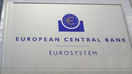 ЕЦБ: Надцененият жилищен пазар в еврозоната може да се огъне при ръст на лихвите