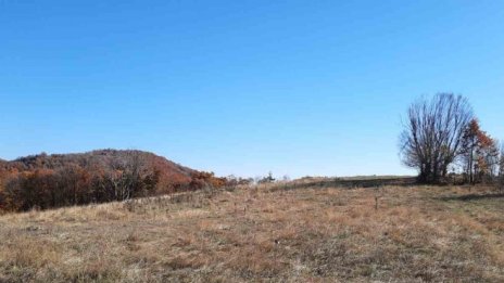 „Елана ФЗЗ“ АДСИЦ е купило близо 3300 дка за 2,18 млн. лв