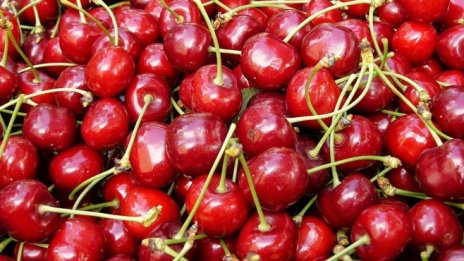 Фонд Земеделие съфинансира с 1,5 млн. лв. застраховането на агропродукция