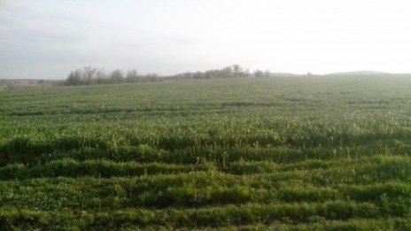 Започват теренните проверки на земеделските парцели за Кампания 2019