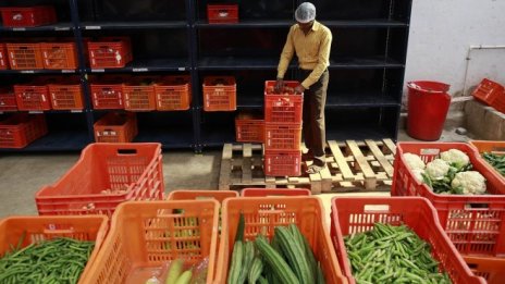 Цените на хранителните стоки на едро се понижиха през седмицата