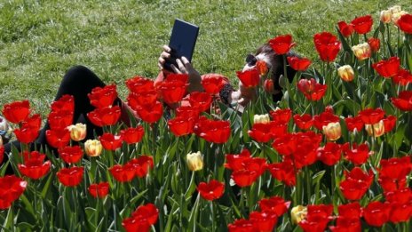 България получава 1,4 млн. евро от ЕС за реакция при кибер инциденти*