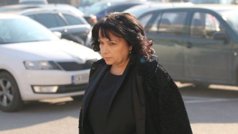 Теменужка Петкова: В момента не е нужна нова нотификация до ЕК за „Белене“