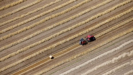 ГЕРБ няма да подкрепи свободната продажба на земя за чужденци