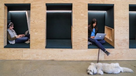 Графика на деня: Технологичните компании в САЩ с най-високи приходи на служител