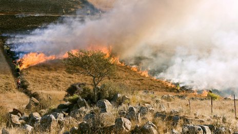Климатолог: Юли е най-топлият месец за света от над 150 години