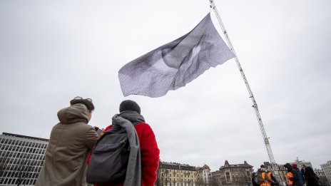 Големият брат продължава да гледа света през очите на стейбълкойните