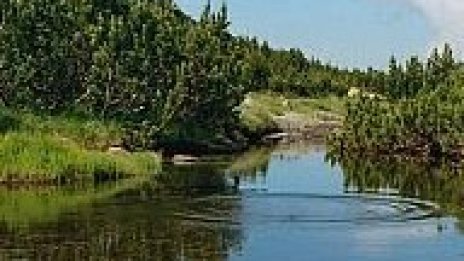 Природозащитници ще протестират срещу строителството в Национален парк "Пирин"