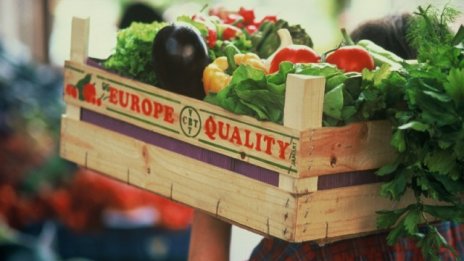 Решение за парите на земеделците може и да има до края на февруари