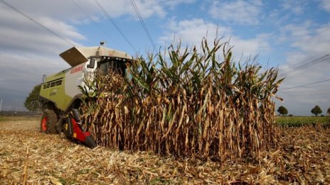 Много европейски фермери са застрашени от фалит заради сушата 