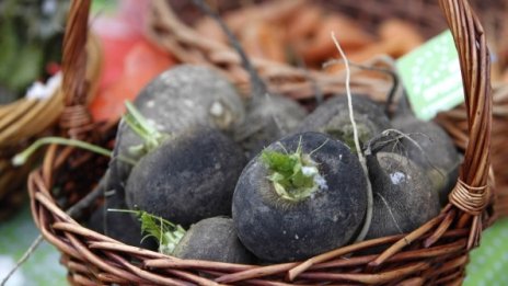 ЕК създава център за качеството на храните