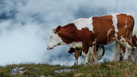 Губим хиляди хектари плодородна земя, докато населението расте и се нуждае от храна