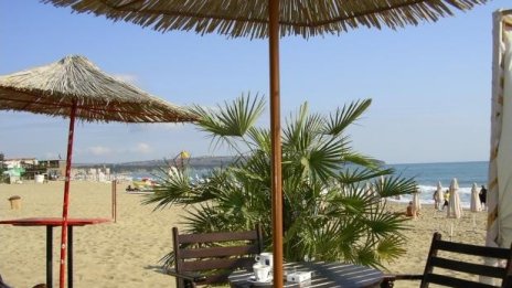 Седем са действащите мидени ферми по Северното Черноморие