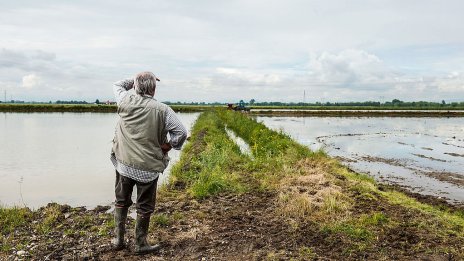 Миди и манго вместо ориз и пшеница - средиземноморската диета се променя заедно с климата