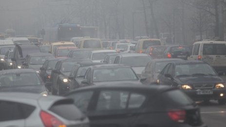 Ц. Цанева: Вносът на автомобили у нас е абсолютно блокиран