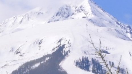 Хотелиери се обявяват срещу отпадането на поправките в закона за горите